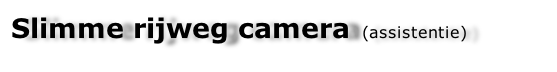 Slimme rijweg camera  (assistentie)