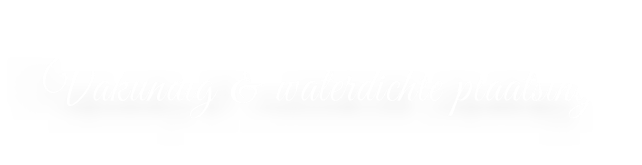 Vakundig & waterdichte plaatsing