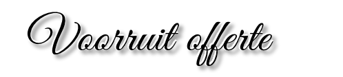 Voorruit offerte
