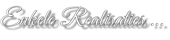 Enkele Realisaties …