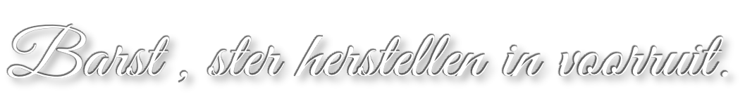 Barst , ster herstellen in voorruit.